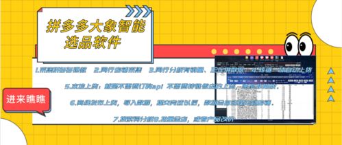 拼多多店群生態全解析 軟件代理、后臺招商與加盟機遇