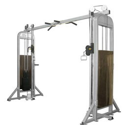 啞鈴飛鳥 鍛煉胸肌的經(jīng)典雙器械